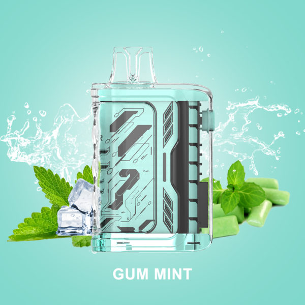 ELMBAR GUM MINT – 5x1 – 75ML/Box